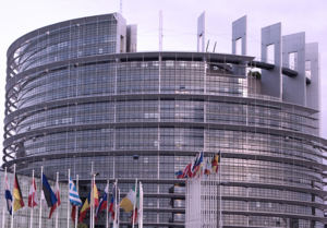 European Parliament